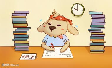 2026年石家庄考编培训机构