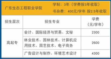 2026年天水保研加分辅导机构