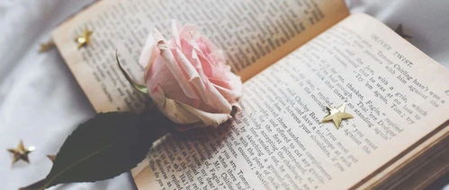 呼和浩特保研免推培训机构