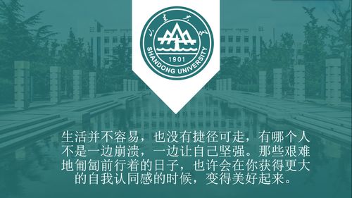 十大西安碑林区保研加分辅导班排行榜