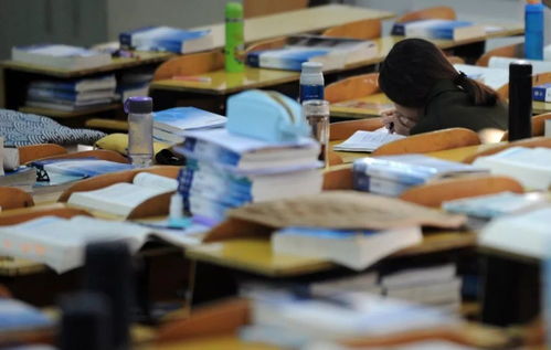 十大吴忠利通区保研免推辅导班排行榜